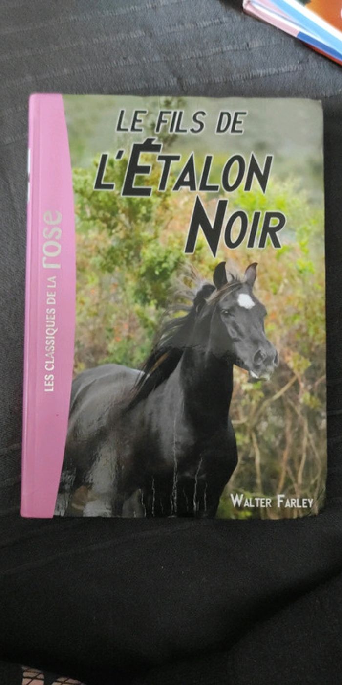 Livre le fils de l'étalon noir