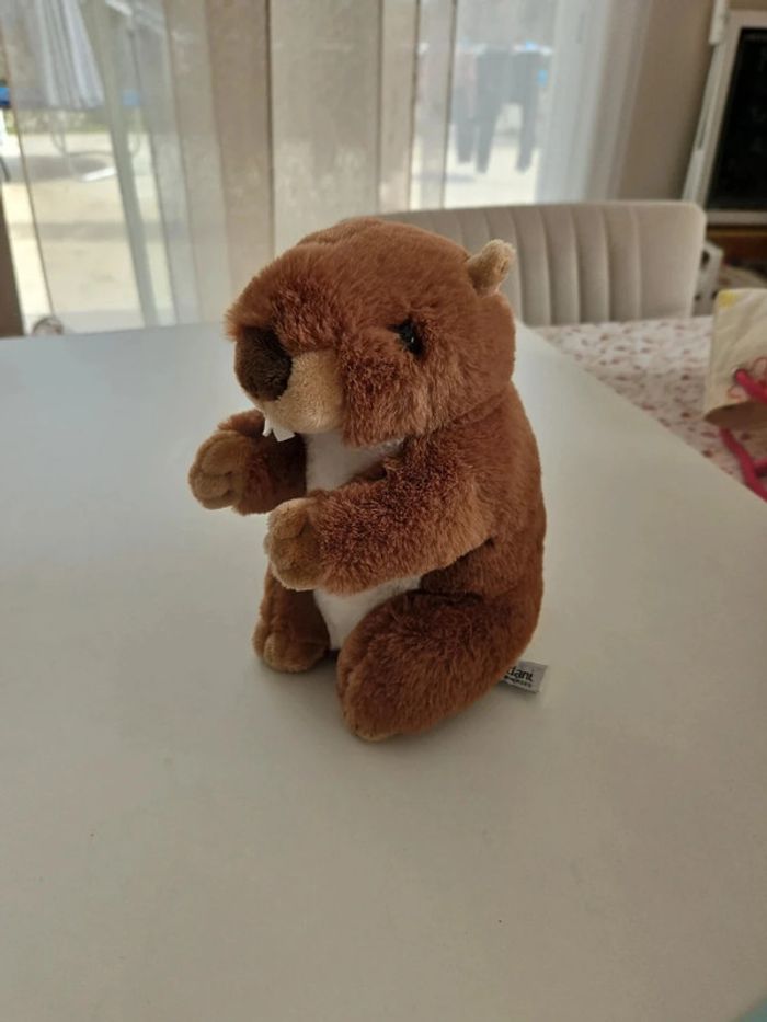 Peluche marmotte castor