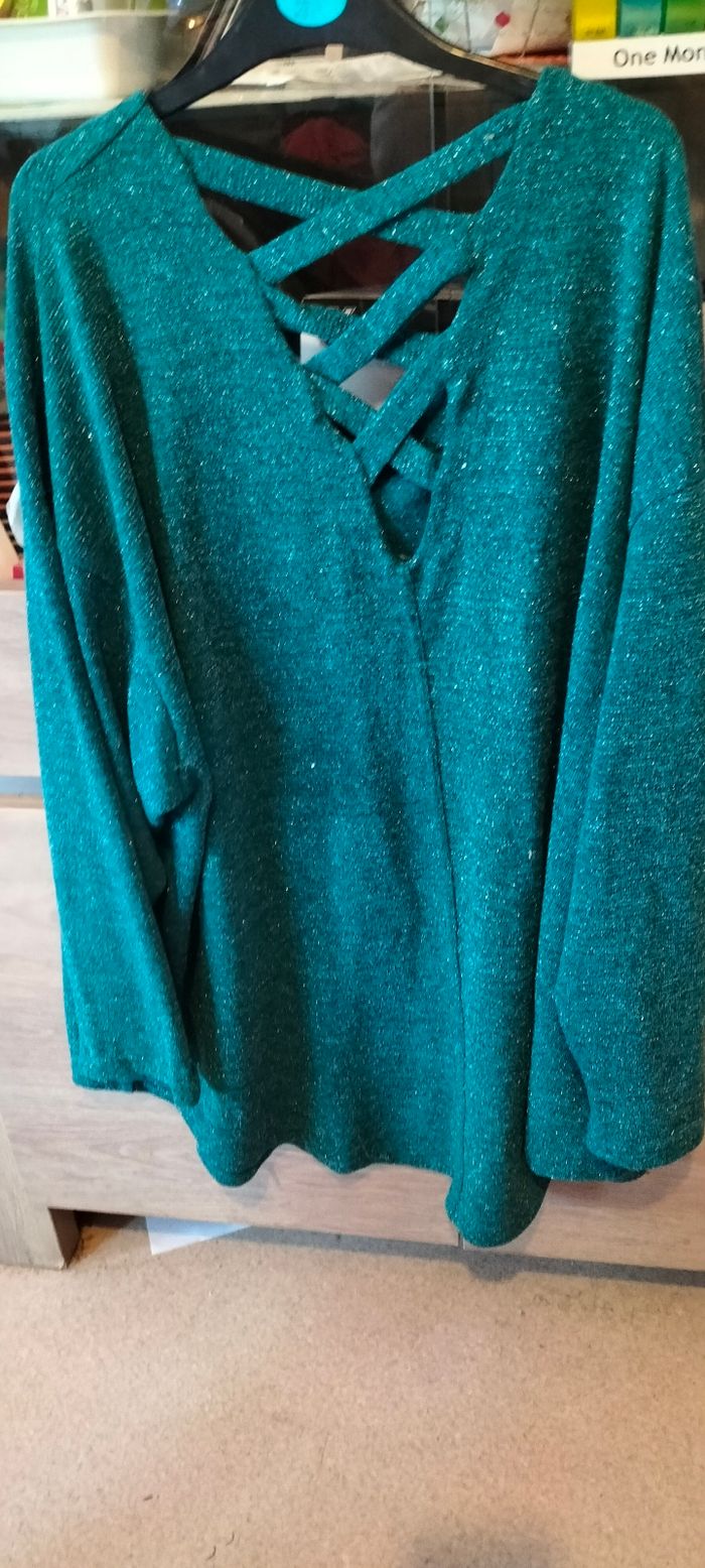 Pull grande taille - photo numéro 4