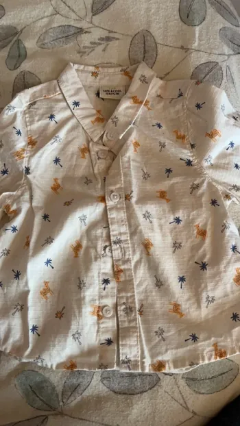 Chemise
