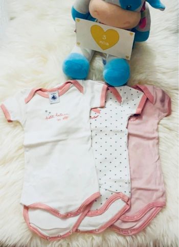 3 mois - lot 3 bodies MC petit bateau
