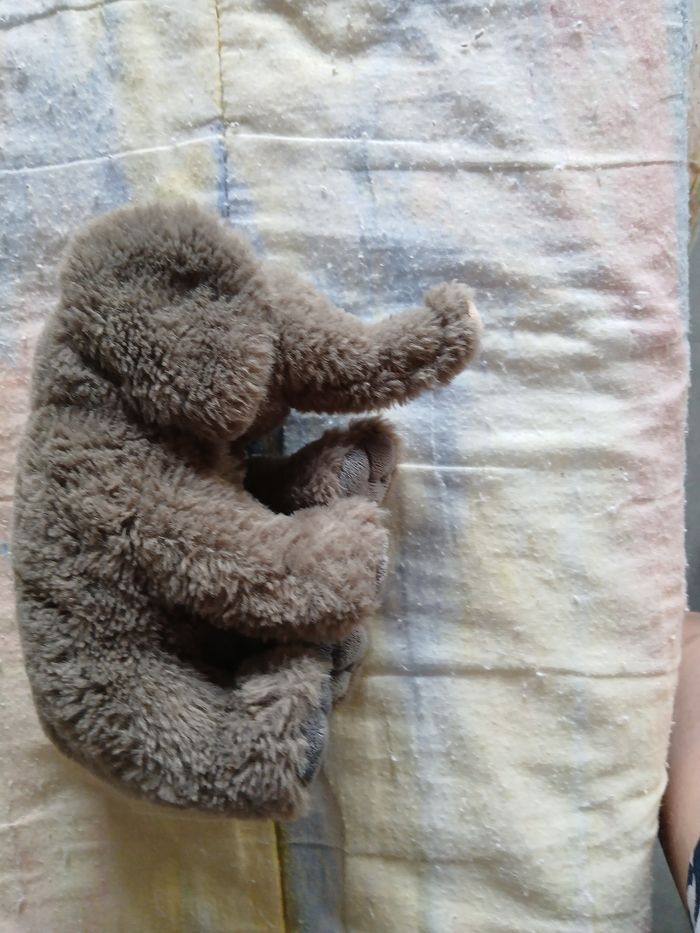 Peluche éléphant - photo numéro 3
