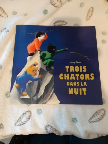 Livre 3 chatons dans la nuit école des loisirs neuf