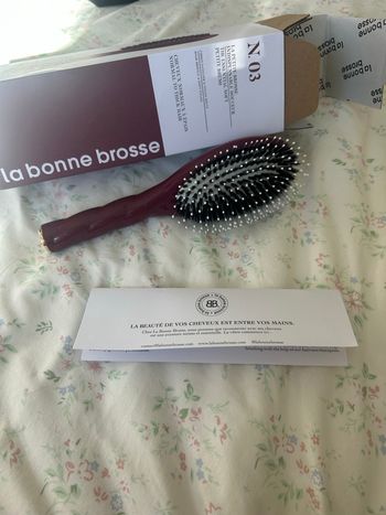 Brosse La bonne brosse 