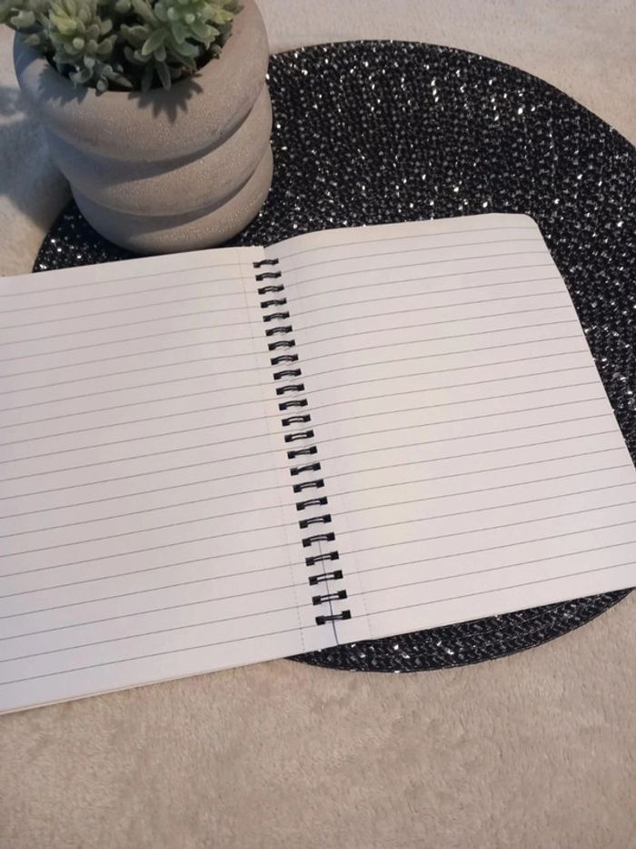 💚 cahier angry birds 💚 - photo numéro 2