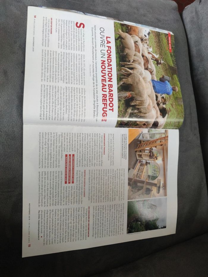 Magazine 30 millions d'amis numéro 378 novembre 2019 - photo numéro 4