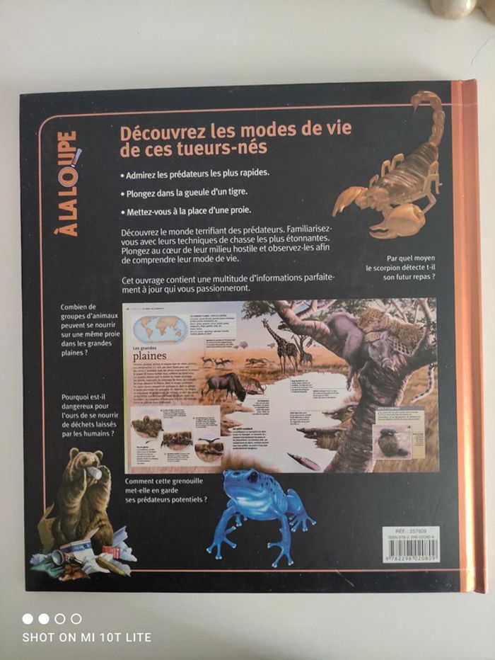 Les animaux prédateurs à la loupe - photo numéro 2