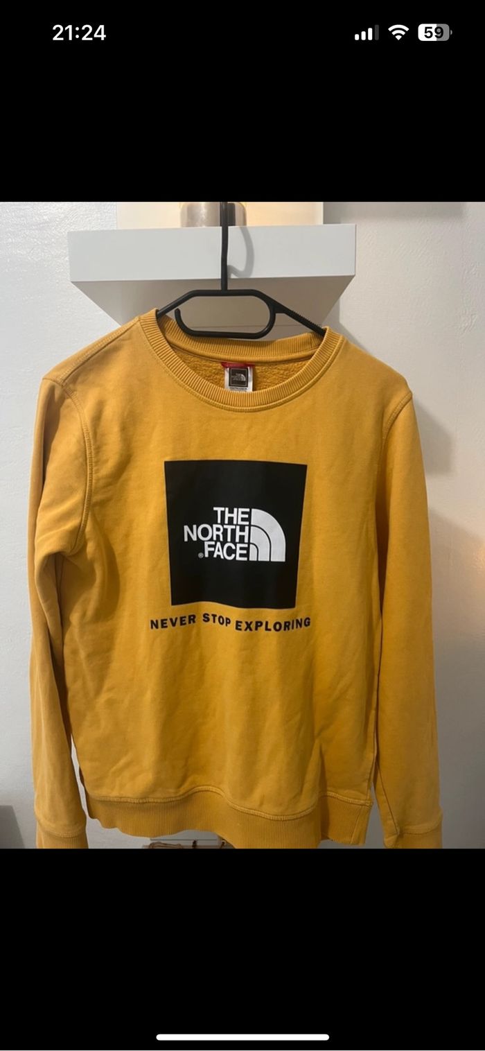 Pulls the north face