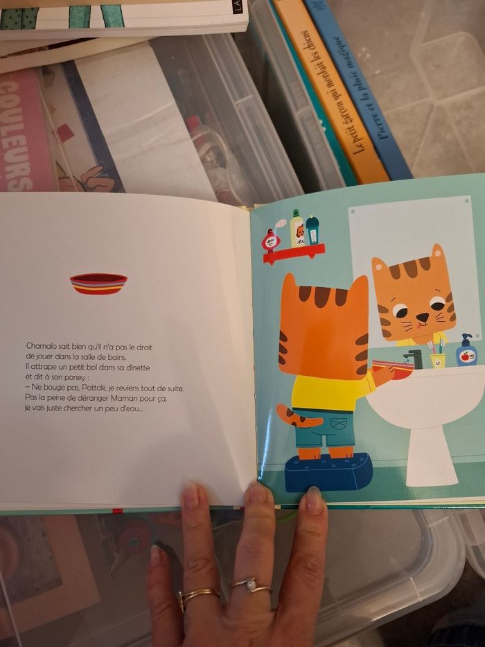 Chamalo fait des betises - photo numéro 3