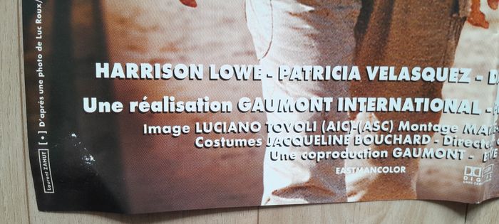 Affiche film cinéma Le Jaguar Jean Reno Patrick Bruel - photo numéro 2