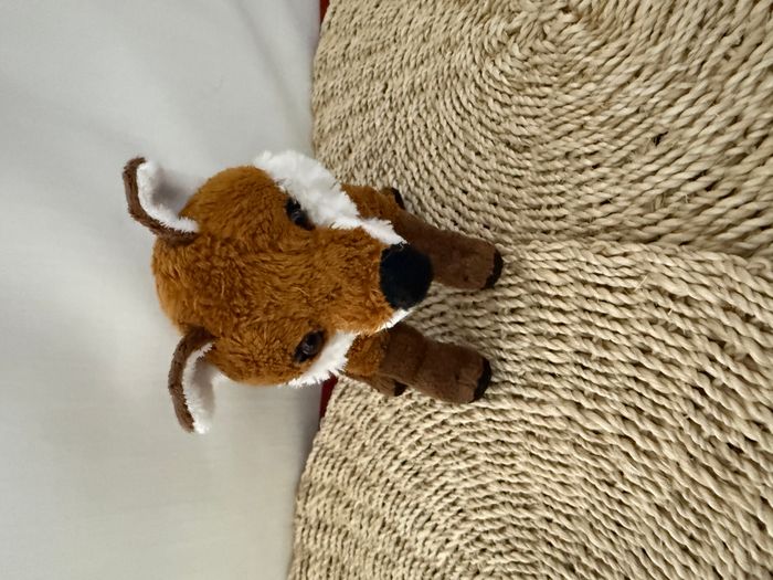 doudou renard renard et l'enfant - photo numéro 6