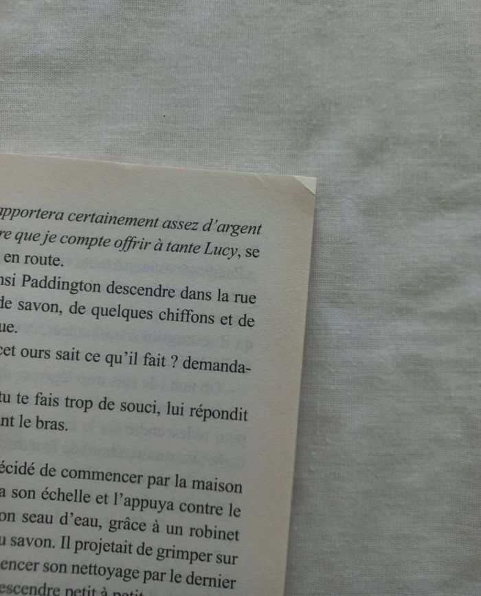 Livre Paddington 2 Le Roman du livre - photo numéro 5