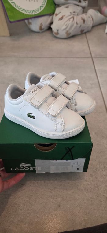 Chaussure lacoste 
