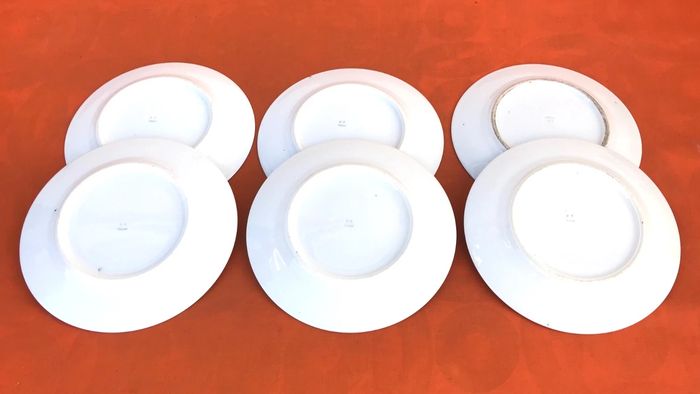 6 assiettes plates anciennes  Porcelaine  P.N France - photo numéro 3