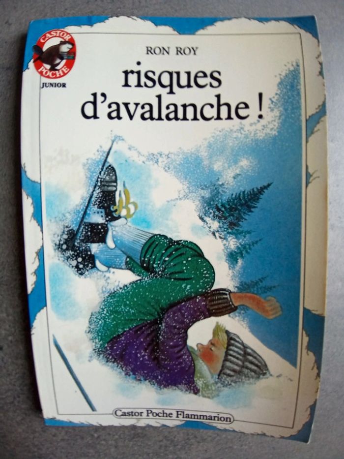 Livre castor poche junior risques d'avalanche
