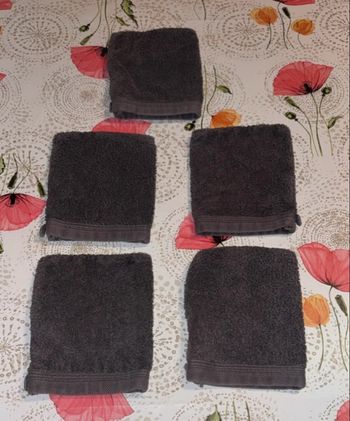 5 gants de toilettes