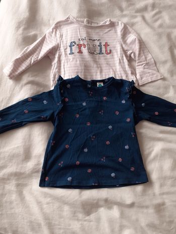 Lot Tee-shirt manches longues tex 18 mois