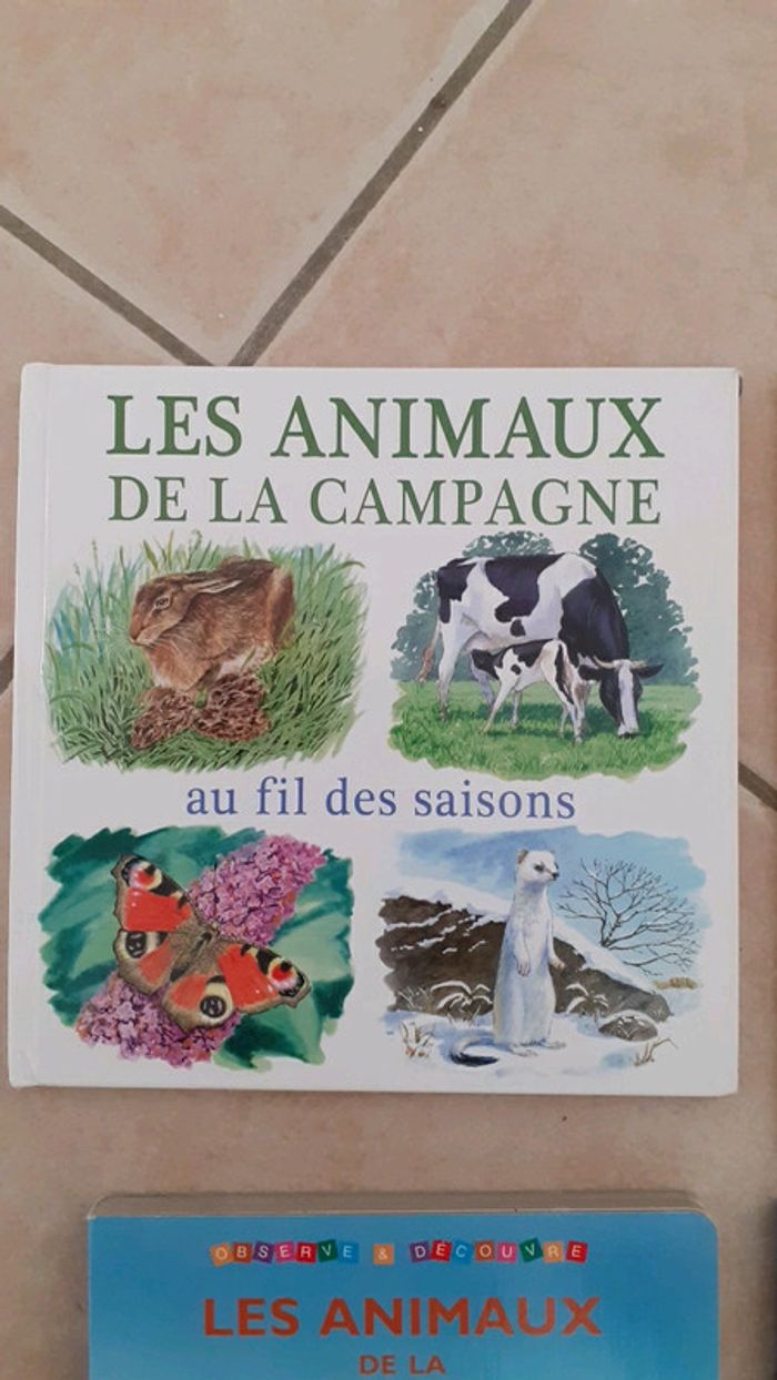 4 livres dont 2 livres cartonnés - photo numéro 4