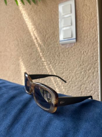 Lunettes de soleil Lacoste léopard – Tendance & stylées