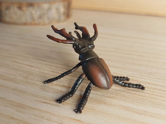 Collecta Lucarne Figurine animal insecte