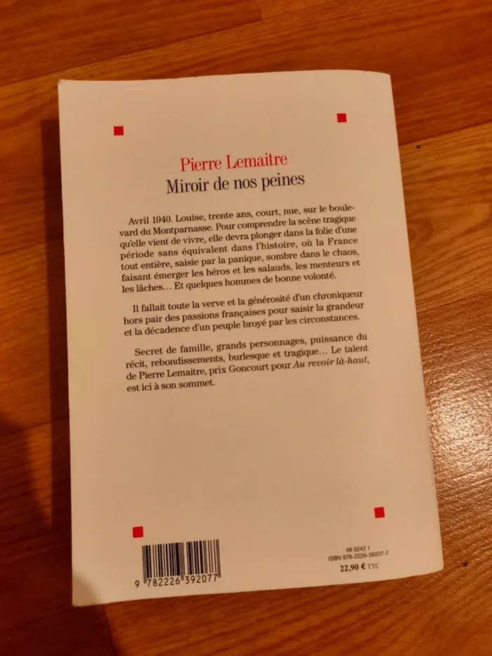Miroir de nos peines - photo numéro 2