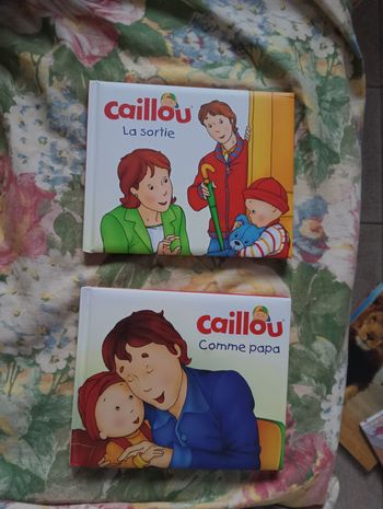 2 livres Caillou
