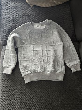 Pull gris