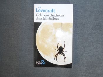 Livre: Celui qui chuchotait dans les ténèbres à 0,50 EURO