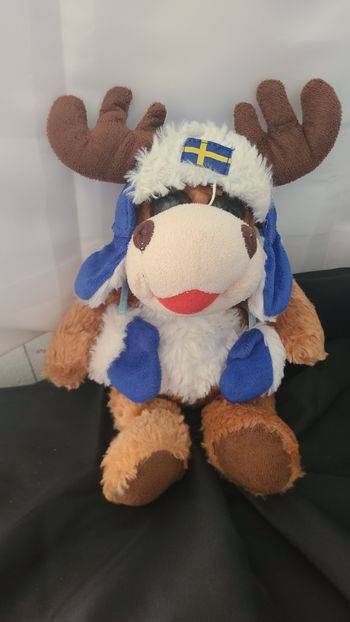 Élan avec un chapeau suédois