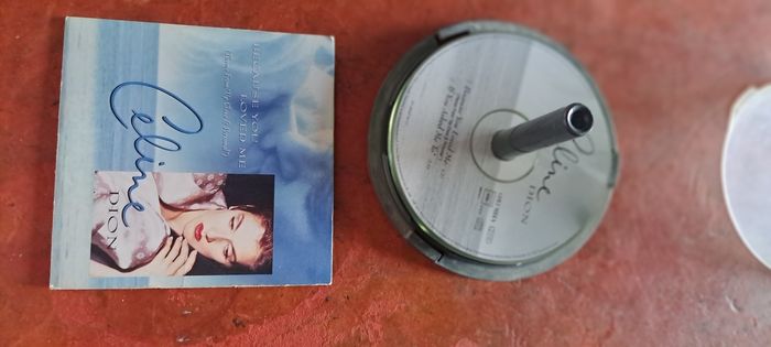 Cd Céline dion because you loved me