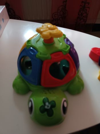 Ma tortue tourni-forme