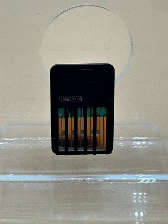 Kraken Academy !! Switch - photo numéro 2