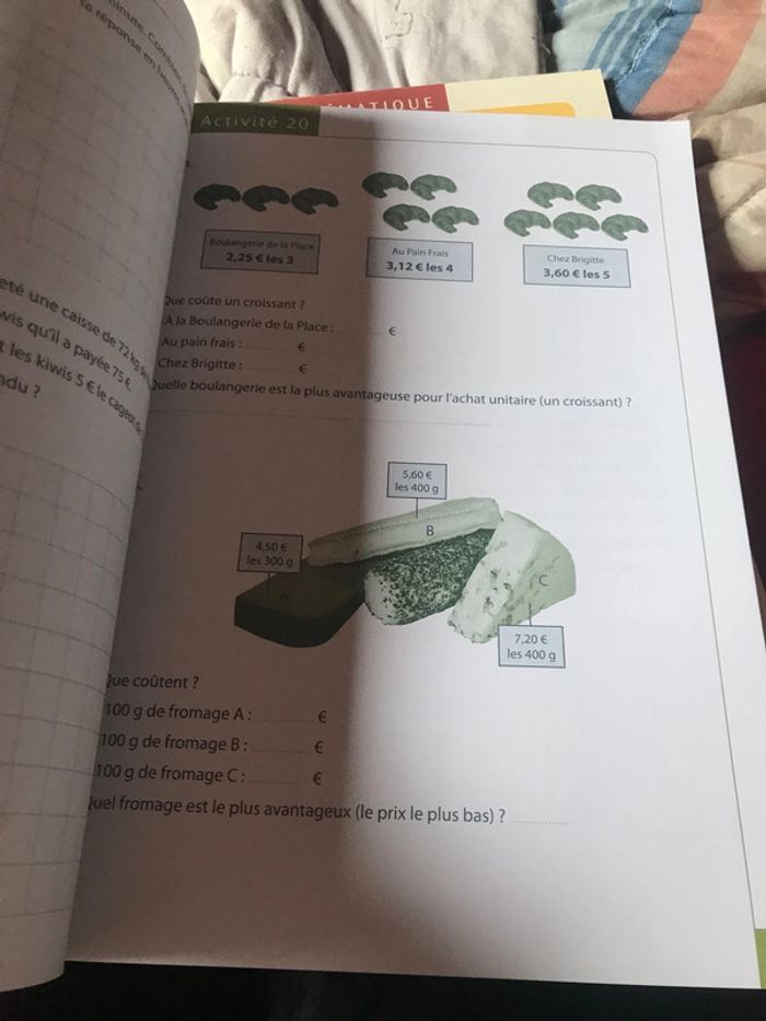 Tatou 4 math Plantyn - photo numéro 6