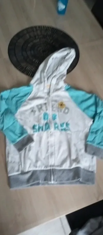 Veste zippée à capuche