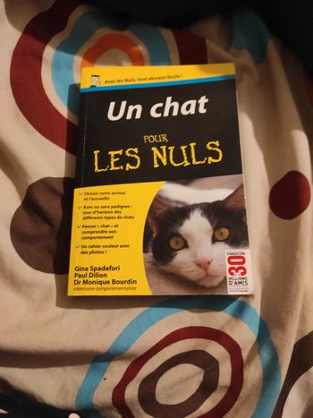 Un chat pour les nuls