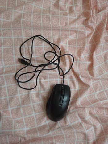 Souris gamer