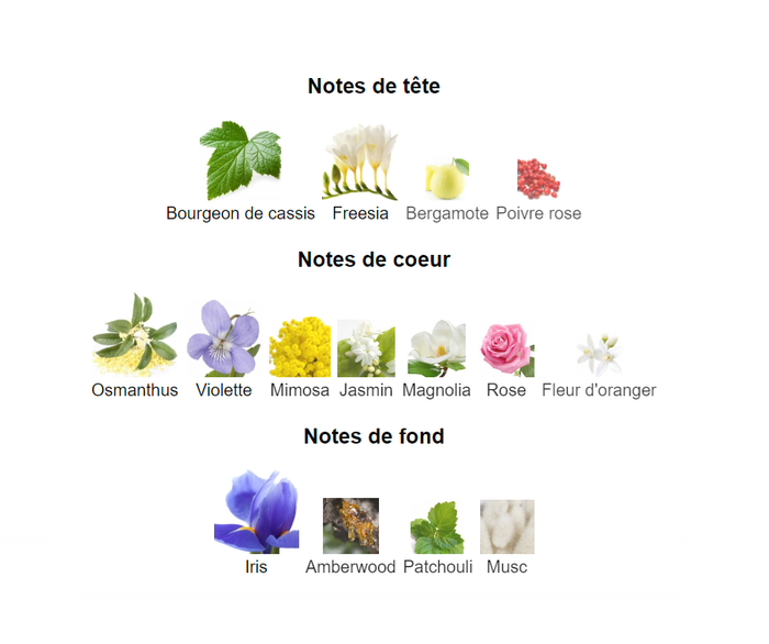 C'est la vie bouquet "inspi La La Vie Est Belle Florale " eau de parfum  femme 100ml - photo numéro 4