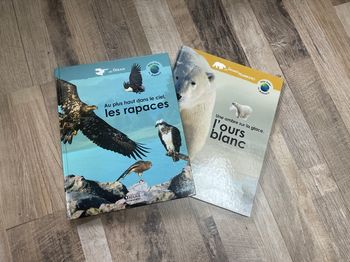 Documentaire rapaces&ours