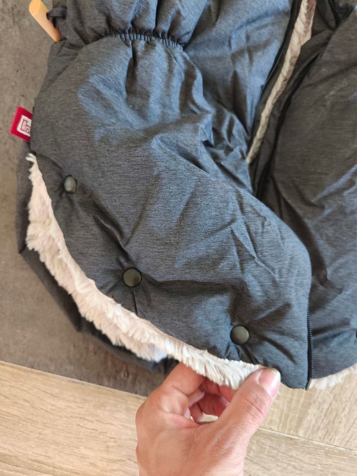 Chancelière d'hiver - photo numéro 2