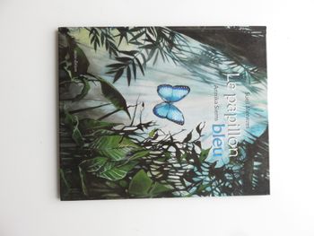 Album 5 à 9 ans : Le papillon bleu (Sueli Menezes & Annika Siems)
