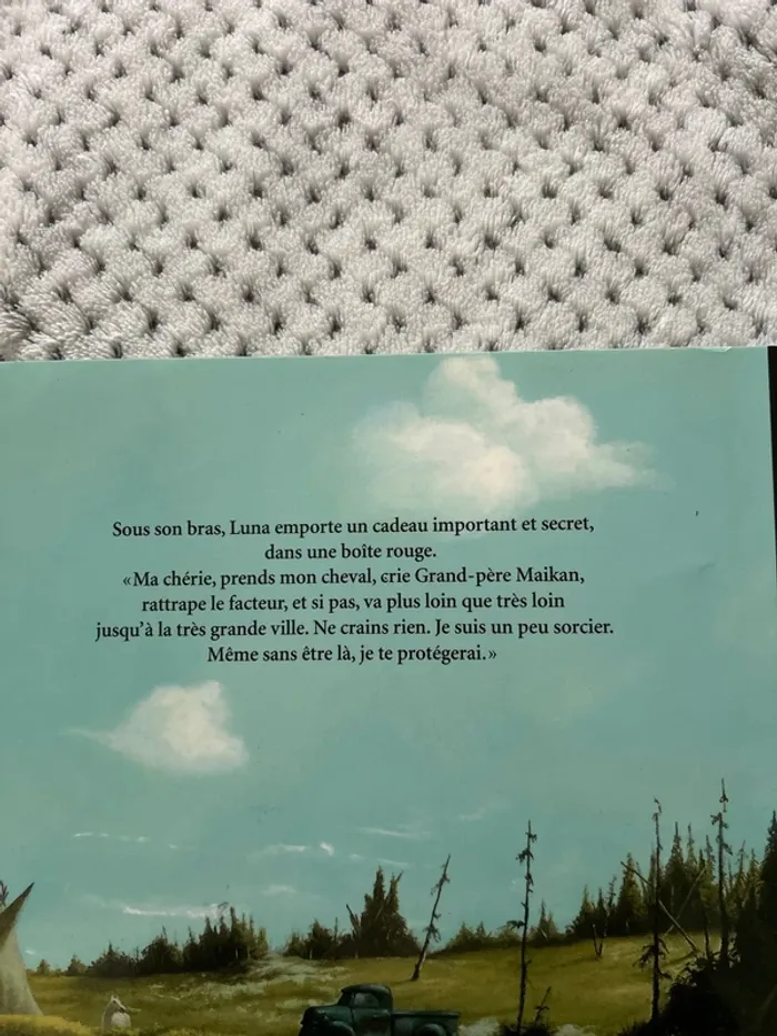 Livre pour enfants - photo numéro 3