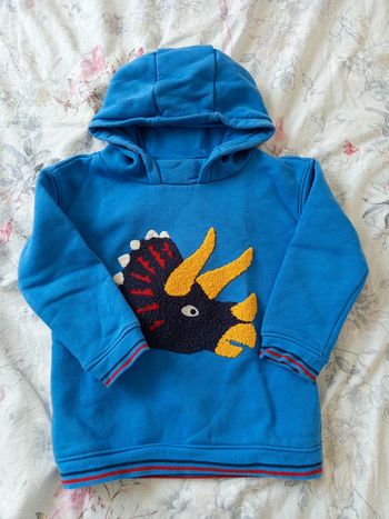 Sweat capuche dinosaure bleu sergent major 5a
