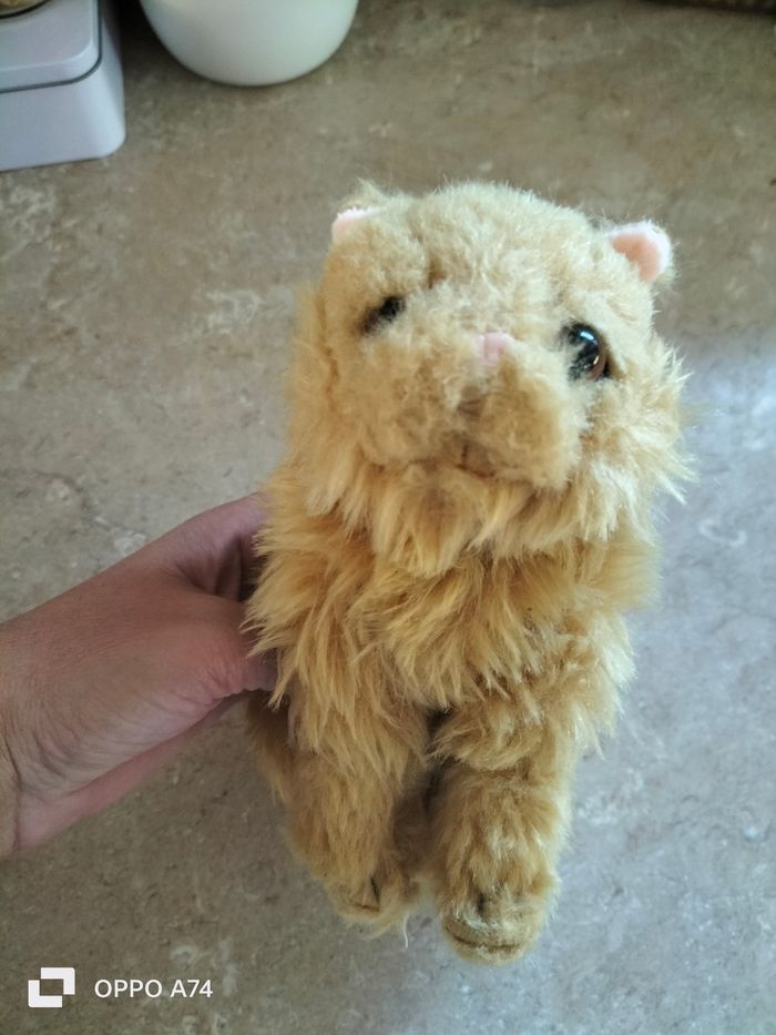 Harry Potter 🖤 Lot peluches Hermione et son chat - photo numéro 6