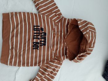 sweat de chez Vert Baudet 3 mois réf R184 B6