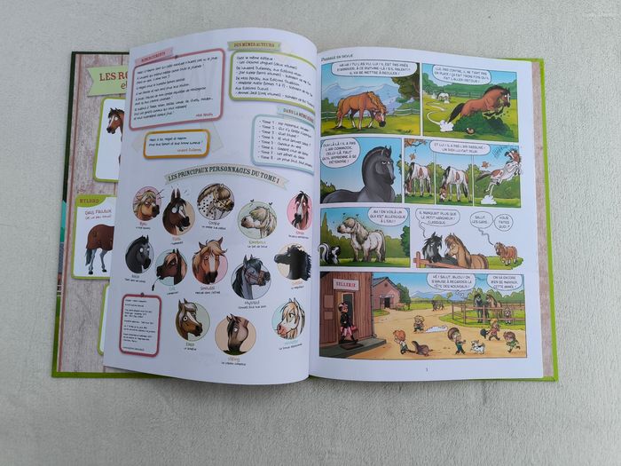 Livre À cheval Delcourt - photo numéro 4