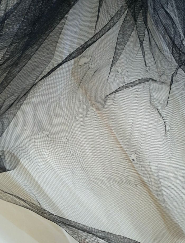 Robe de Mariée noire et blanche - photo numéro 9