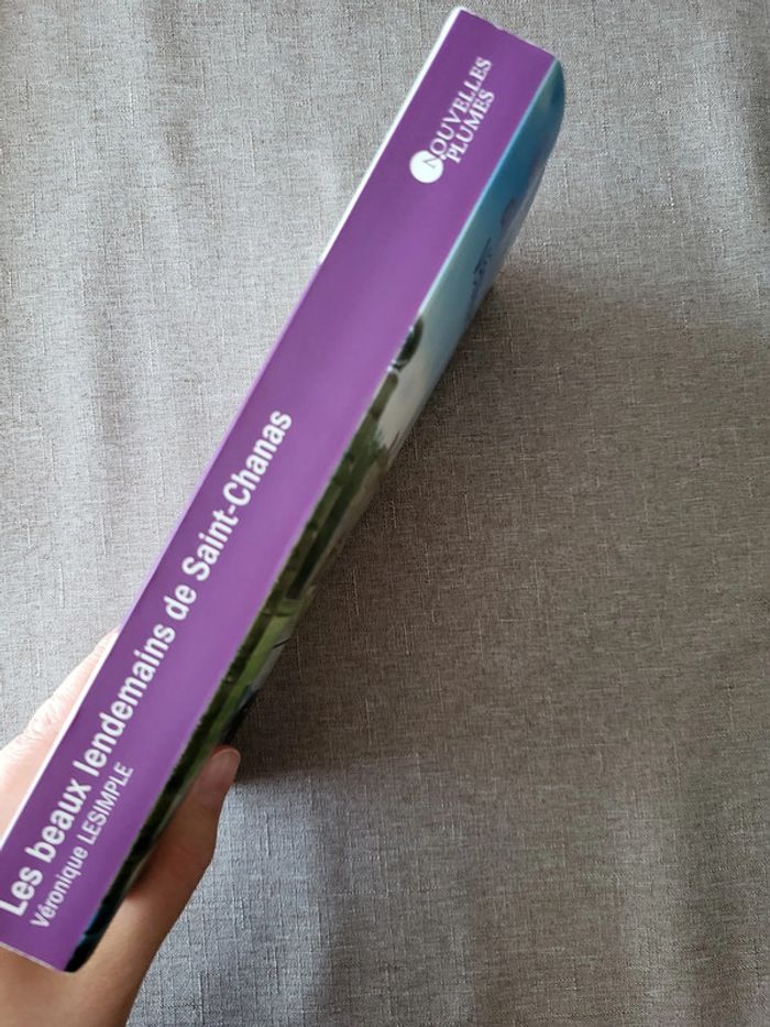 Les beaux lendemains de Saint-Chanas de Véronique Lesimple - photo numéro 3