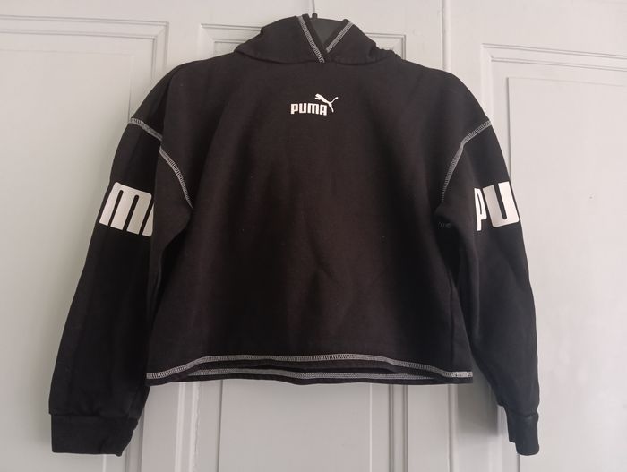 Pull puma