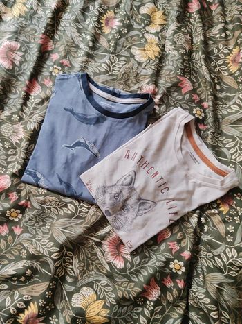 Lot de t-shirts garçon.