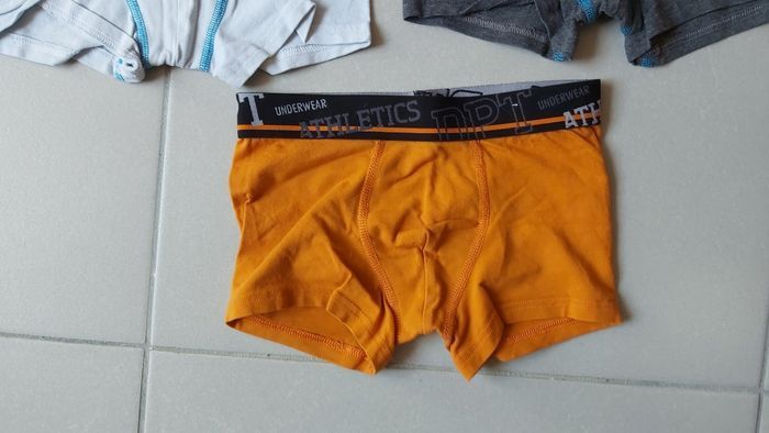 Boxer 8 ans - photo numéro 4